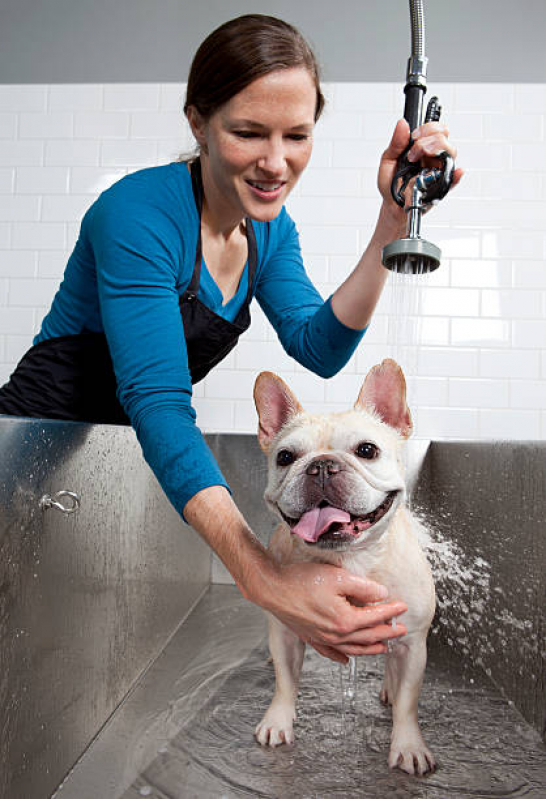 Banho e Tosa Simples Marcar Caixa DÁgua - Banho e Tosa Pet