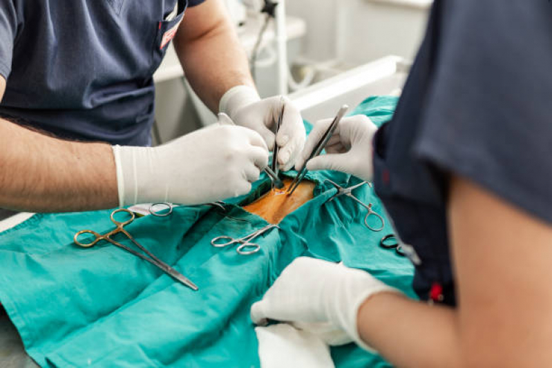 Clínica Especializada em Cirurgia Ortopédica em Cachorro Marechal Rondon - Cirurgia em Animais Salvador