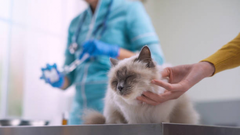 Clínica Especializada em Vacina contra Raiva em Cachorro Caixa DÁgua - Vacina para Gato V4