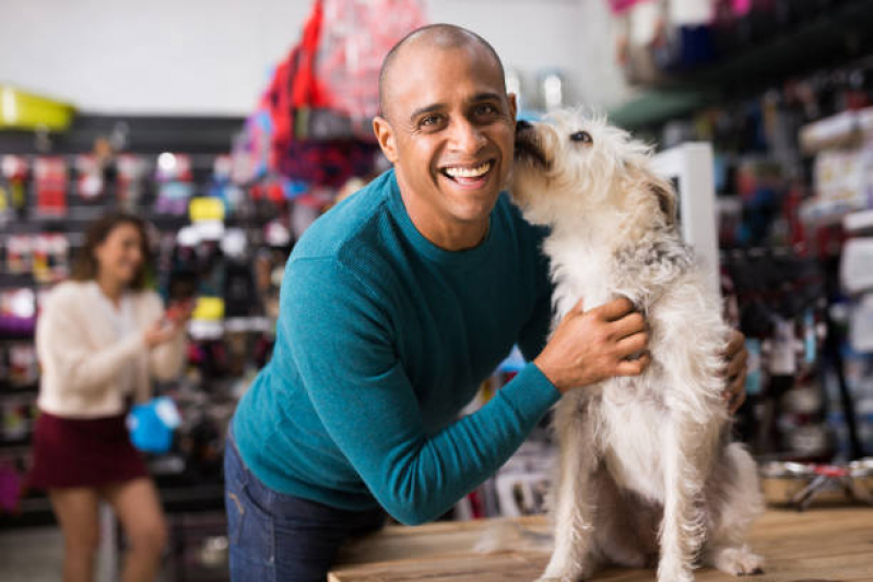 Contato de Pet Shop para Cães Resgate - Pet Shop Banho e Tosa Perto de Mim Tancredo Neves