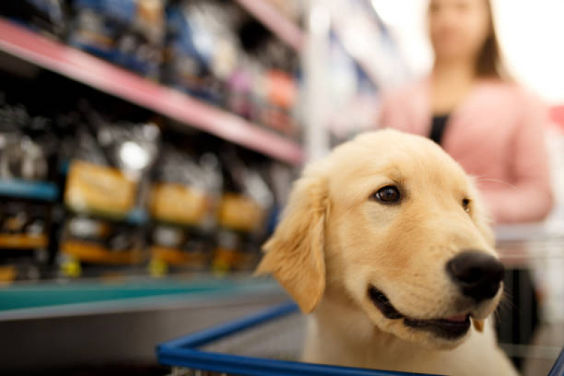 Endereço de Pet Shop Banho Águas Claras - Pet Shop para Gatos Arraial do Retiro