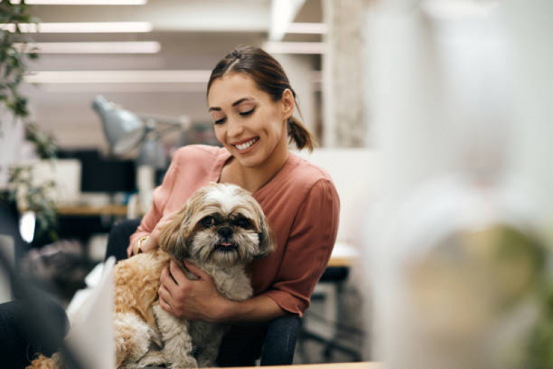 Endereço de Pet Shop para Cães Acupe - Pet Banho e Tosa Perto de Mim Pirajá
