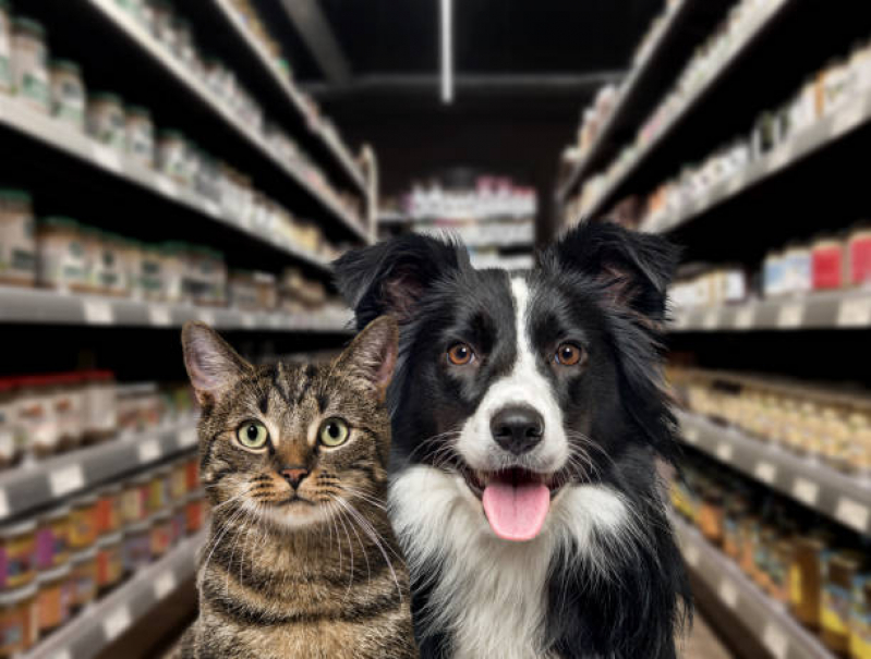 Endereço de Pet Shop para Gatos Barreiras - Pet Shop Banho e Tosa Perto de Mim Tancredo Neves