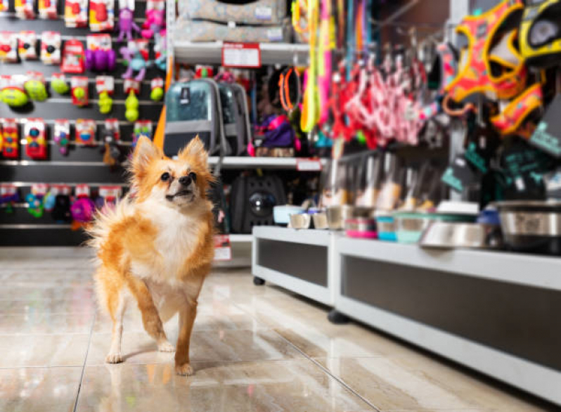Endereço de Pet Shop Perto de Mim Banho e Tosa Marechal Rondon - Pet Shop para Cães Cajazeiras