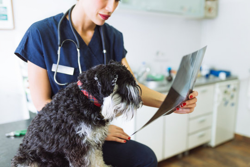 Exames em Animais Agendar Saboeiro - Rx para Pet com Laudo Arraial do Retiro