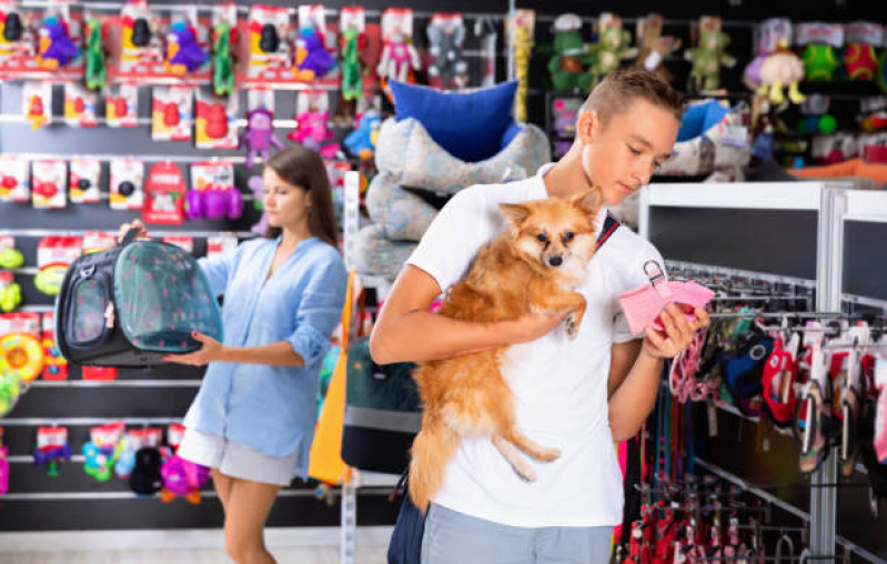 Onde Encontrar Pet Shop Cães e Gatos Calçada - Pet Shop com Acessórios