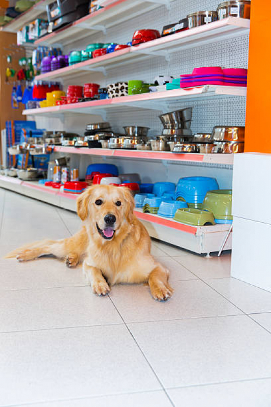 Onde Encontrar Pet Shop Cão e Gato Caminho das Árvores - Pet Shop com Acessórios