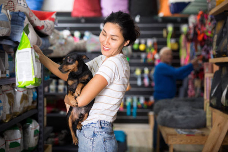 Onde Encontrar Pet Shop com Medicamentos Jardim Cajazeiras - Pet Shop com Acessórios