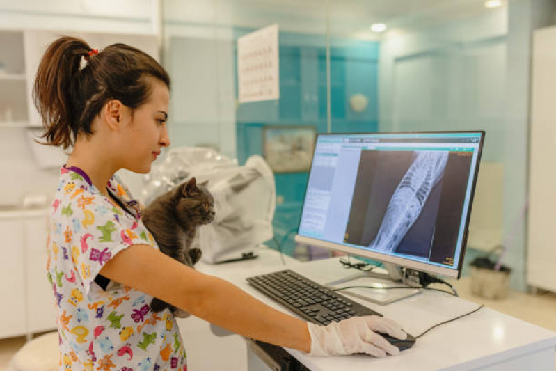 Onde Fazer Exames Laboratoriais em Animais São Rafael - Radiografia em Animais Imbuí
