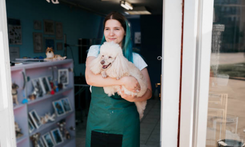 Onde Tem Pet Shop Banho e Tosa Dom Avelar - Pet Shop Próximo a Mim