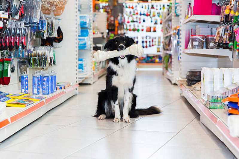 Onde Tem Pet Shop Cão e Gato Calçada - Pet Shop Perto de Mim