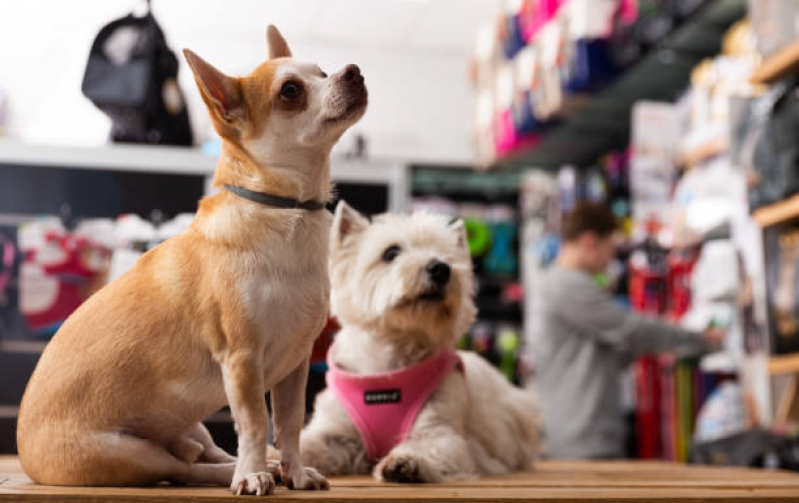 Pet Shop Banho Contato Jardim Santo Inácio - Pet Shop Banho e Tosa