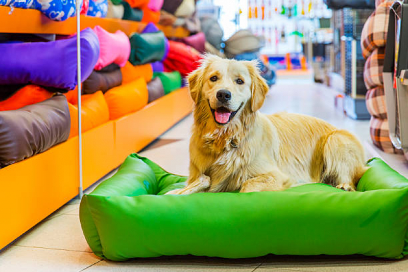 Pet Shop Banho e Tosa Endereço Novo Horizonte - Pet Shop com Acessórios