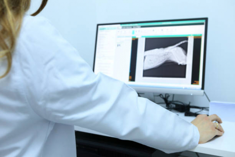 Radiografia de Animais Agendar Arraial do Retiro - Ultrassonografia em Animais Novo Horizonte