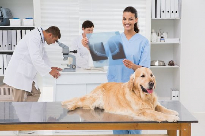 Radiografia em Animais Resgate - Rx para Cães com Laudo Engomadeira