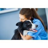 agendamento de laboratório de exames para animais Fazenda Grande do Retiro