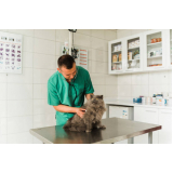 agendar internação em clínica veterinária Resgate