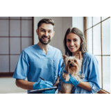 agendar internação veterinária Caixa dÁgua