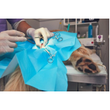 clínica com cirurgia veterinária para cães Vale dos Lagos