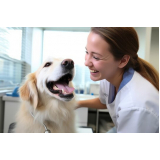 clínica de exames para animais Brotas