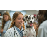 clínica de exames para cachorros Capelinha