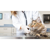 clínica de internação para pets Retiro