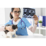 clínica de ultrassonografia em animais Retiro