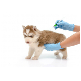 clínica especialista em vacina antirrábica para gato Pirajá