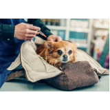 clínica especialista em vacina contra raiva para cachorro Doron