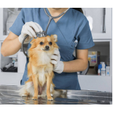 clínica especializada em vacina hepatite infecciosa canina Caminho das Árvores