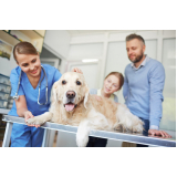 clínica que faz internação de cachorro São Gonçalo do Retiro