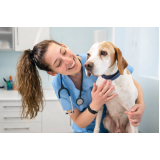 clínica veterinária com internação Novo Horizonte