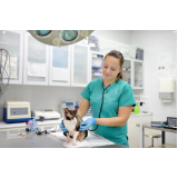 clínica veterinária para cirurgia endereço Trobogy