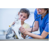 ecodopplercardiograma veterinário marcar Novo Horizonte