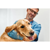 emergência veterinária 24h telefone Engomadeira