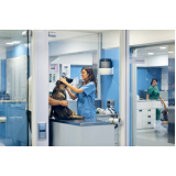 endereço de clínica veterinária 24hs Porto Seco Pirajá