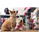 endereço de pet shop nas proximidades Vila Atlântico