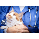 exame laboratorial veterinário agendar Cidade Nova