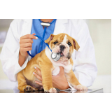 exame laboratorial veterinário marcar Candeal