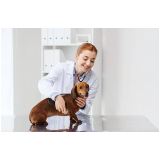 internação veterinária valores Engomadeira