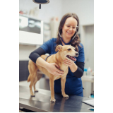 marcar internação para cachorro e gato Novo Horizonte