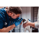 onde encontrar laboratório de exames veterinários Calabar