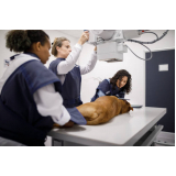 onde faz radiografia veterinária Vila de Atlântico