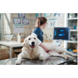 onde fazer ultrassonografia de cachorro Aeroporto