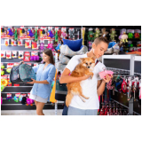 pet shop com ração contato STIEP