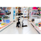 Pet Shop Cão e Gato