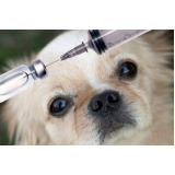 vacinas contra raiva para cachorros Cosme de Farias