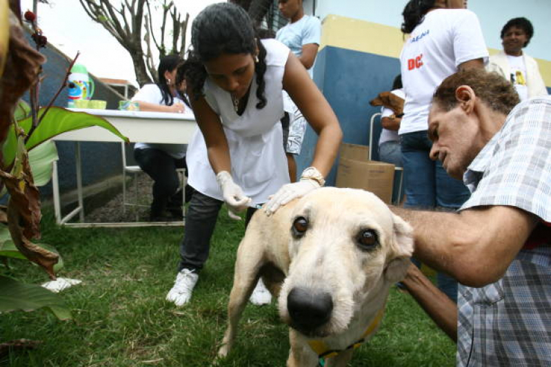 Vacina contra Raiva em Cachorro Agendar Tancredo Neves - Vacina para Gato V4